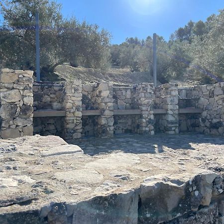 Vina Zarzarrosa Οσούνα Εξωτερικό φωτογραφία