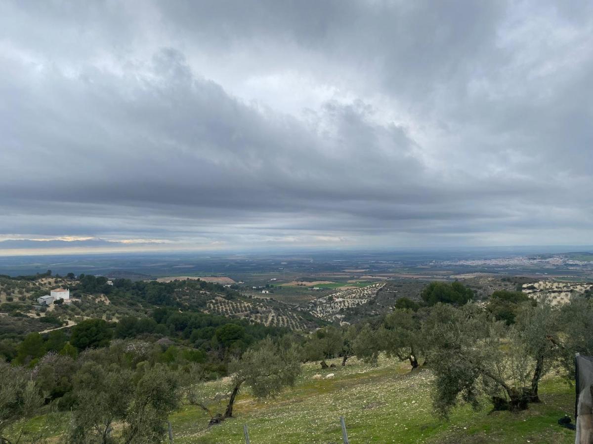 Vina Zarzarrosa Οσούνα Εξωτερικό φωτογραφία