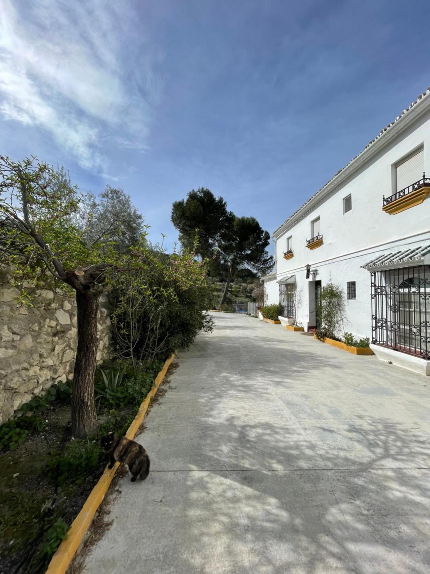 Vina Zarzarrosa Οσούνα Εξωτερικό φωτογραφία